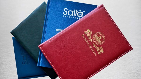 ЕЖЕДНЕВНИКИ ЕЖЕДНЕВНИКИ